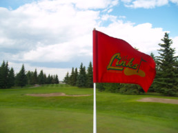 The Links at Spruce Grove flag