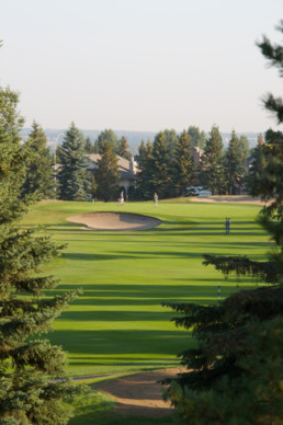 between the trees view of lush fairway, sand bunker, and manicured golf green at The Links at Spruce Grove
