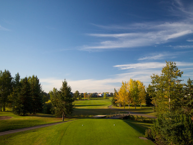 tee box overlooking tree lined fairway at The Links at Spruce Grove