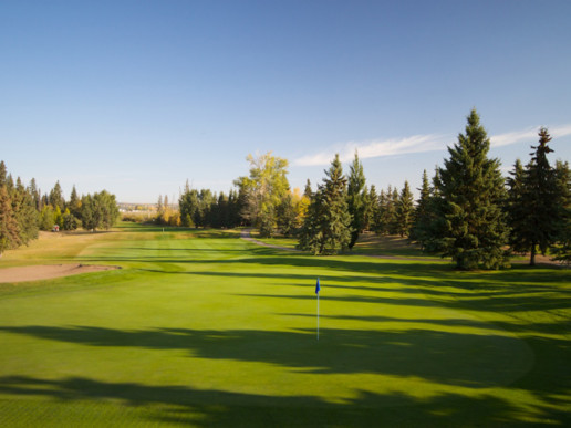 golf green and sand bunker at The Links at Spruce Grove